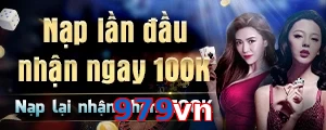 979vn
